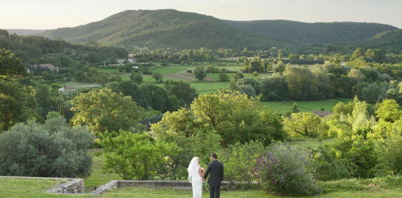 Rear of wedding couple in garden